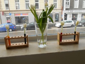 Warten und beobachten